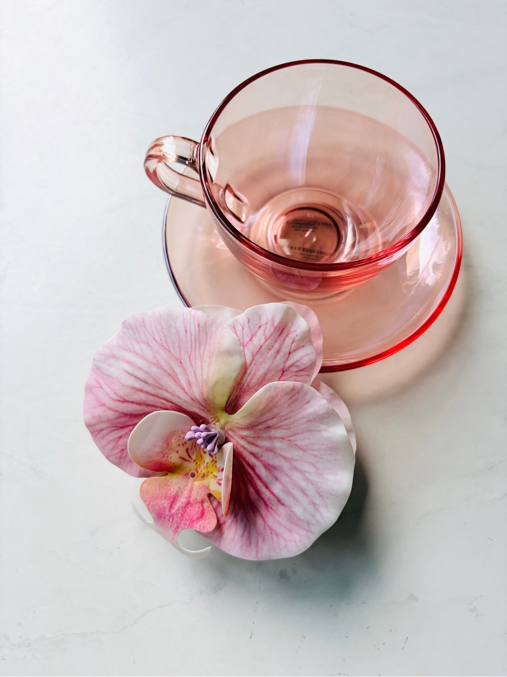 RARE! New Anthropologie Alice Glass Teacup & Saucer Set, Pink - Picture 2 of 7